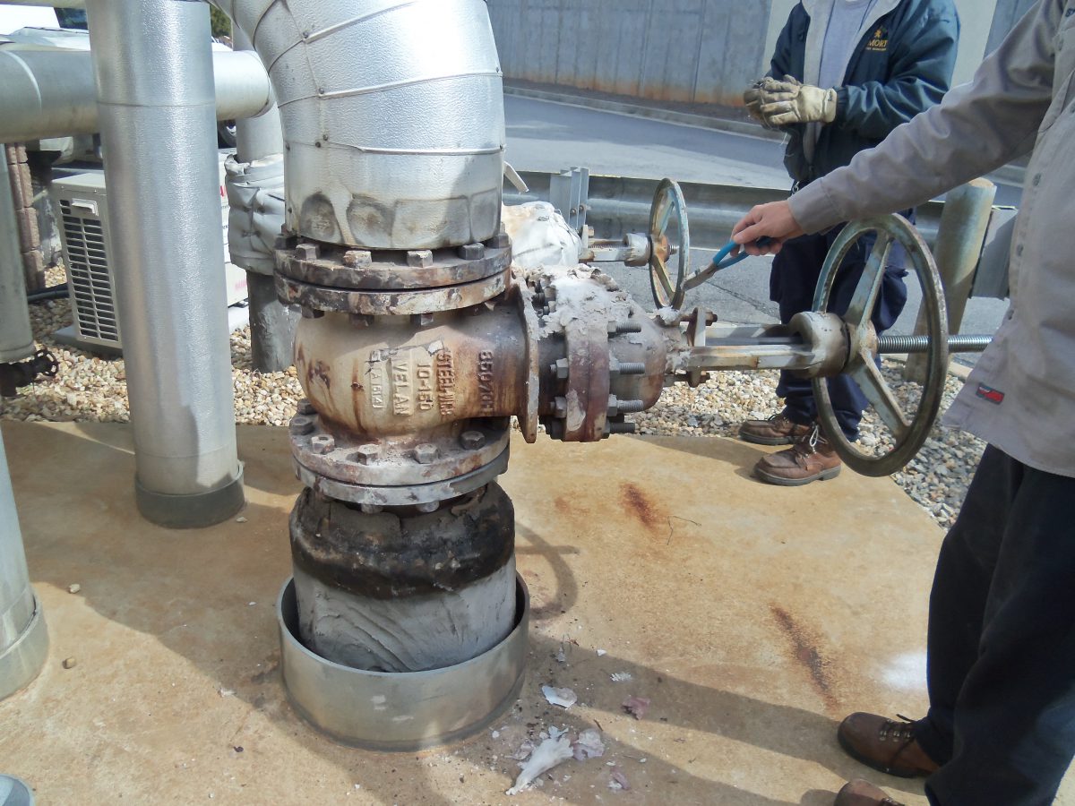 10 inch gate valve on an outdoor steam line before - Thermaxx Jackets